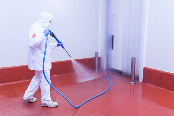 Playground Equipment Cleaning in Woodbourne, PA